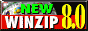 Get Winzip 8.0 Now